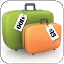Baggage Fees